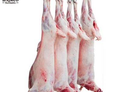 内蒙古全羊整羊烤全羊专用白条羊1只起批餐饮量大洽谈图5