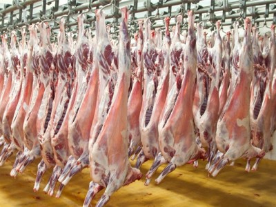 内蒙古全羊整羊烤全羊专用白条羊1只起批餐饮量大洽谈图2