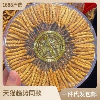 顾源堂 特惠3000条规格冻干草 一手货源冬虫夏草 足干饱满 无断草