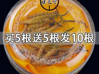 2022年正品断虫草整根冬虫草礼盒装送礼非西藏那曲冬虫夏草批发图4