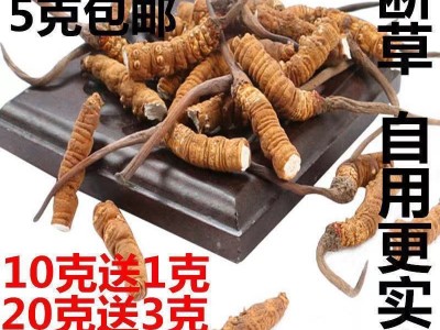 2022年正品断虫草整根冬虫草礼盒装送礼非西藏那曲冬虫夏草批发图2