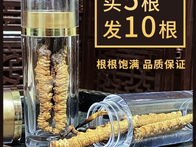 正品虫草干货新鲜野生冬虫夏草小瓶装西藏那曲冬虫夏泡酒煲汤图2