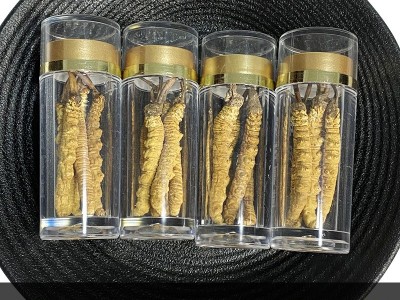 正品虫草干货新鲜野生冬虫夏草小瓶装西藏那曲冬虫夏泡酒煲汤图5