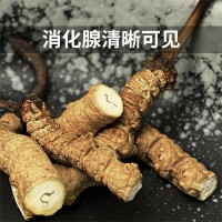 正宗断草礼罐装西藏那曲冬虫夏草冬虫草断虫草大量批发干货送礼