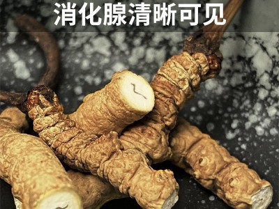 正宗断草礼罐装西藏那曲冬虫夏草冬虫草断虫草大量批发干货送礼图2