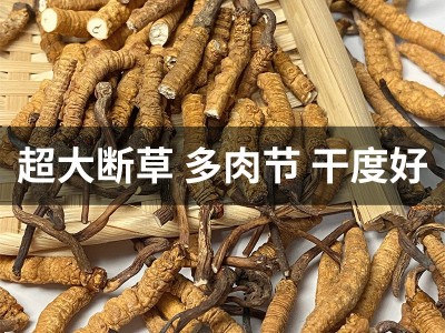正宗断草礼罐装西藏那曲冬虫夏草冬虫草断虫草大量批发干货送礼图3