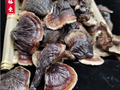 金边小灵芝小灵芝多规格整朵灵芝泡茶煲汤灵芝干货送礼 灵芝批发图3