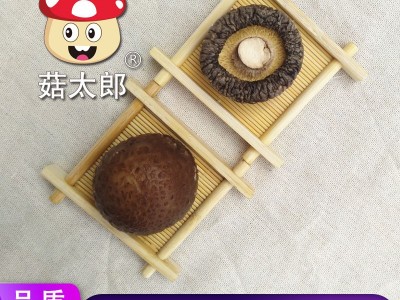 南阳特产农副产品冬菇农产品菌菇 出口欧盟 源头厂家香菇干货批发图3