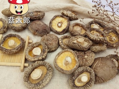 南阳特产农副产品冬菇农产品菌菇 出口欧盟 源头厂家香菇干货批发图5