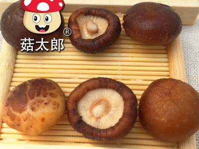 袖珍菇批发价 西峡干香菇 产地批发 冬菇 干椎茸1.5-2CM图2