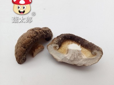袖珍菇批发价 西峡干香菇 产地批发 冬菇 干椎茸1.5-2CM图4
