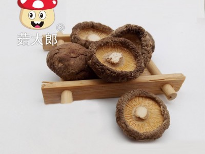 袖珍菇批发价 西峡干香菇 产地批发 冬菇 干椎茸1.5-2CM图5