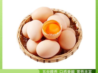 竹林蛋乡下农家散养走地土鸡蛋20枚/900g 顺丰包邮图4