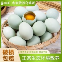 竹林蛋九华山新鲜散养乌鸡蛋 30枚/1350g 厂家直发