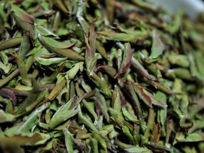 普洱茶 生茶 勐库大雪山 紫芽苞 明前春茶 散茶图4
