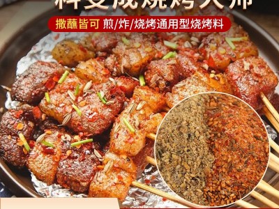 东北烧烤料蘸料撒料韩式烤肉调料干料羊肉串孜然料烧烤料商用批发图2