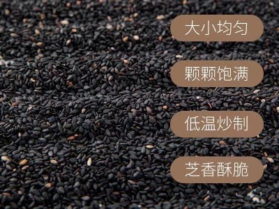新货生白芝麻带皮黑白芝麻粉500g免洗散装干净无沙可榨油芝麻批发图5