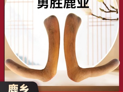 梅花鹿鲜鹿茸批发整枝新鲜带血可连刀切片男性泡酒鲜鹿茸滋补现货图4