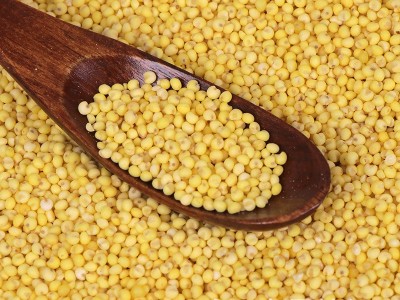 批发大黄米 黍子米 东北大黄米 粽子 糕点 食品原料大黄米图3