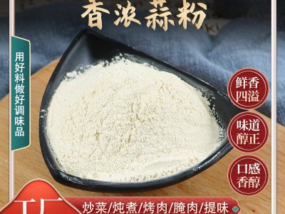 厂家批发散装大蒜粉烧烤腌肉蒜香调味料家用烘焙原料脱水大蒜粉图3