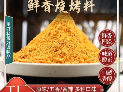 批发烧烤料火锅干碟烤肉蘸料夜市地摊烤羊肉串烤鱼炸鸡锁骨烧烤料图2