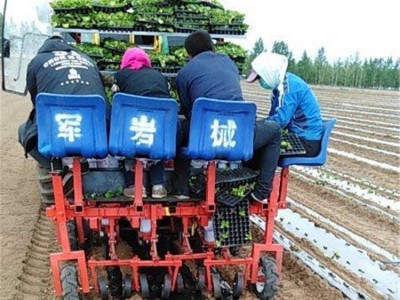 军岩机械 西兰花移栽机 白菜移栽机 娃娃菜种植机 青州蔬菜移栽机图2