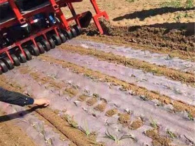 军岩机械 洋葱圆葱移栽机 支持定做 商家直营 多行同步作业图4