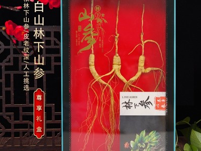 长白山林下山参10g3支装10年以上整枝林下山参礼盒滋补品干参送礼图3