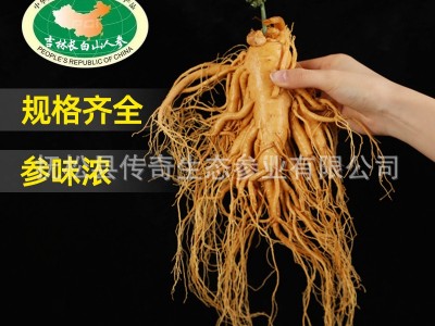 保鲜参 东北特产保鲜参长白山袋装整支人参泡酒参规格齐全 人参图3