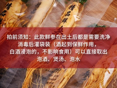 保鲜参 东北特产保鲜参长白山袋装整支人参泡酒参规格齐全 人参图4