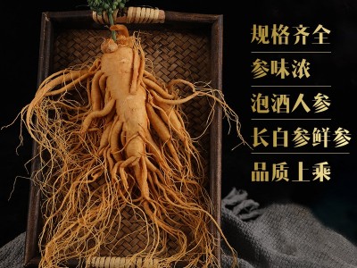 保鲜参 东北特产保鲜参长白山袋装整支人参泡酒参规格齐全 人参图5