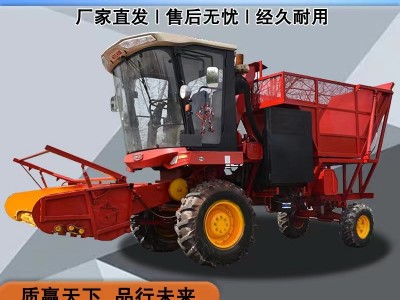 大型青储机圆盘式玉米秸秆青储机牧草小麦收割机玉米秸秆粉碎机图3