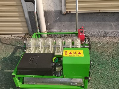 汽油款自走式白芷播种机 蔬菜药材点播机 芹菜油菜播种机图4