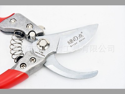 绿点日本进口枝剪修枝剪园艺花草花剪修理树枝修剪果树枝条剪刀图3