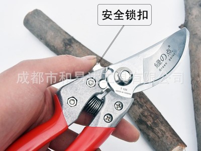 绿点日本进口枝剪修枝剪园艺花草花剪修理树枝修剪果树枝条剪刀图4