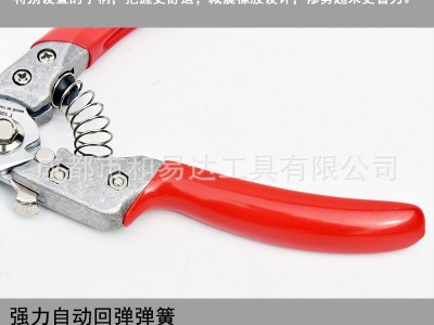 绿点日本进口枝剪修枝剪园艺花草花剪修理树枝修剪果树枝条剪刀图5