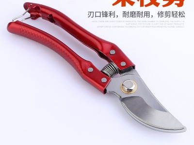 现货供应果枝剪藤蔓修整剪盆景造型省力粗枝剪家用苗木花枝剪图2