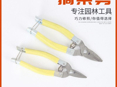 现货批发摘果剪 采果剪刀 园林修枝园艺剪 农用葡萄摘果剪图3