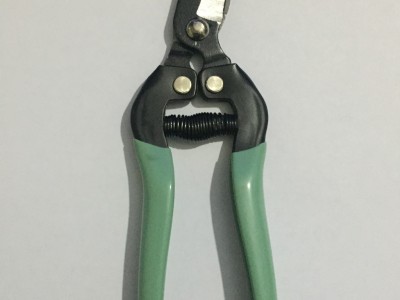 剪枝 果树修枝剪刀 花剪 园艺剪刀 园林省力修花枝剪 家用强力剪图4