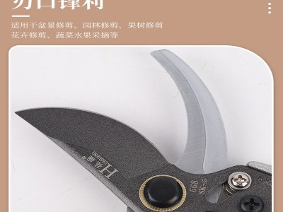 厂家批发园林果枝剪花盛剪枝剪刀果树剪子园艺修花修枝花卉园林剪图4