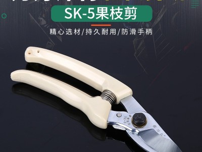 货源直供园林130果枝剪 sk5省力果树粗枝剪修枝剪刀 SK5果枝剪图2