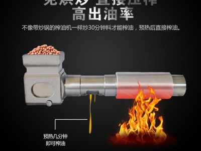 不锈钢小型榨油机批发全自动小型商用榨油机小型不锈钢榨油机图4