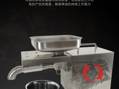 不锈钢小型榨油机批发全自动小型商用榨油机小型不锈钢榨油机图3