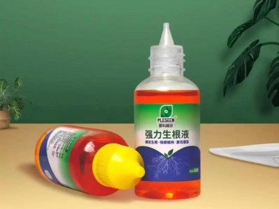 爆根生根液快速生根液移栽花苗插芊移植多肉生根粉花卉植物营养液图4