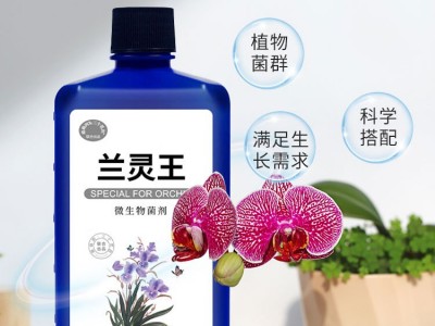 兰灵王兰花专用营养液肥料EM菌君子兰蝴蝶兰石斛兰科促花活化剂图2
