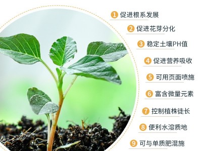 快邦花多多大量元素水溶肥高氮高磷高钾氮肥磷肥钾肥通用复合肥料图5