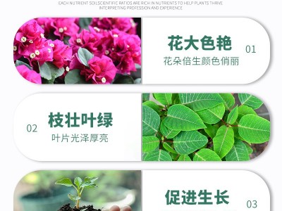 厂家批发快邦营养液250ML水培液体肥花卉植物营养液通用型液体肥图5