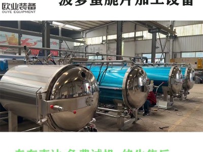 低温压差膨化设备 菠萝蜜加工设备 苹果脆片加工生产线图3