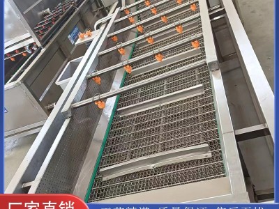 达誉机械 净菜加工流水线 果蔬气泡清洗机 厂家直售 质量保证图4
