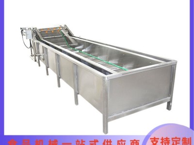 大型商用蔬菜清洗流水线 果蔬气泡清洗机 餐厅洗菜机 净菜加工设备图3